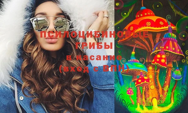 твердый Горнозаводск