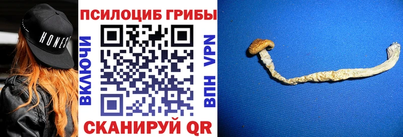 наркошоп  shop наркотические препараты  Галлюциногенные грибы Psilocybine cubensis  Дзержинск 
